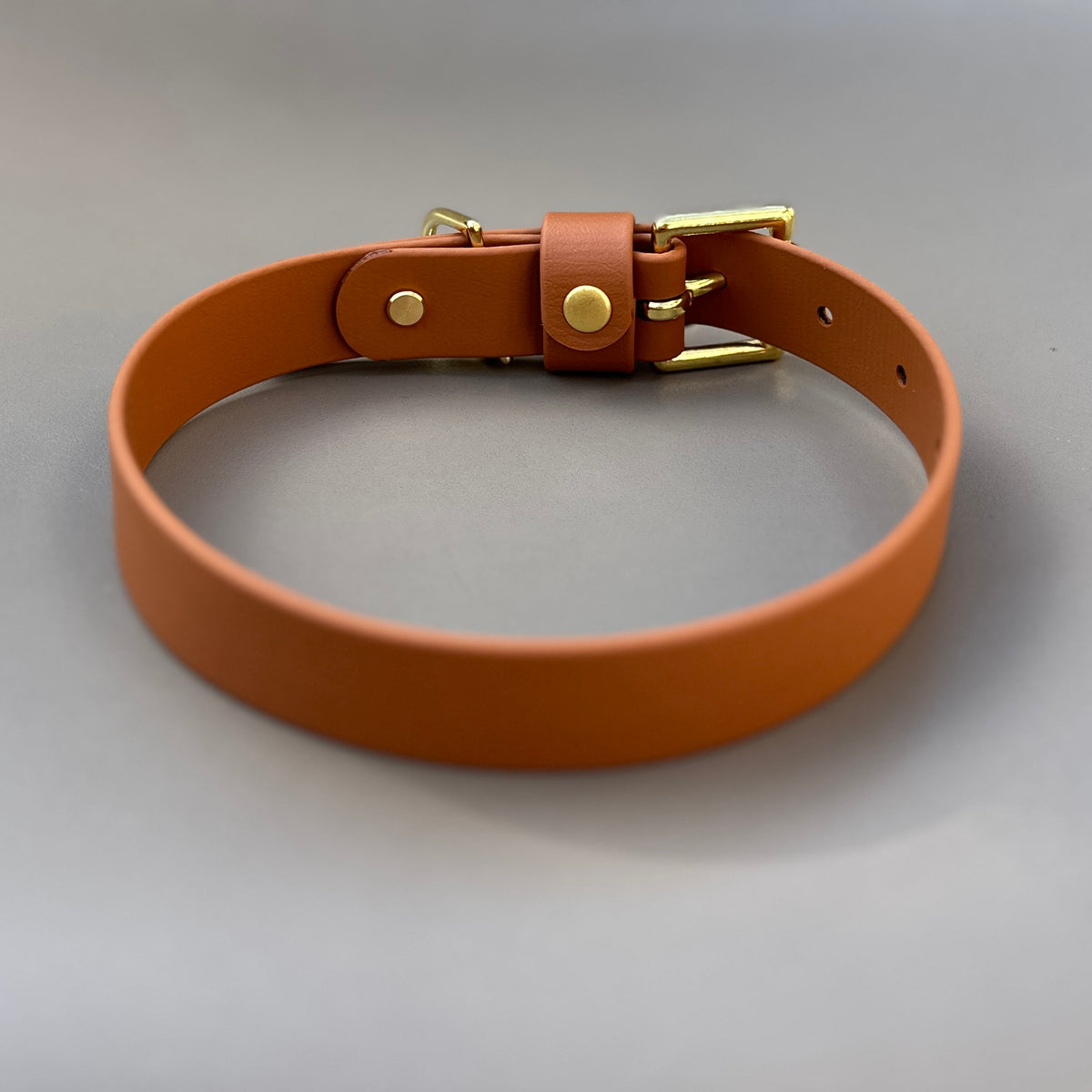 Tan BioThane® Collar