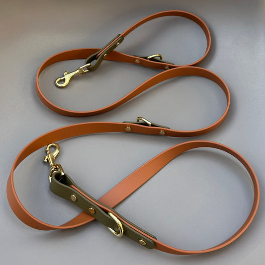 Multifunctional BioThane® Training Lead