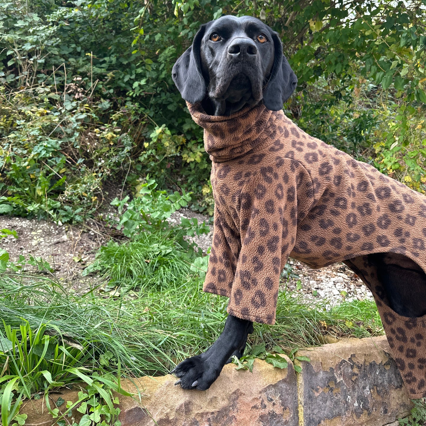 Leopard Print Fleece Dog Onesie