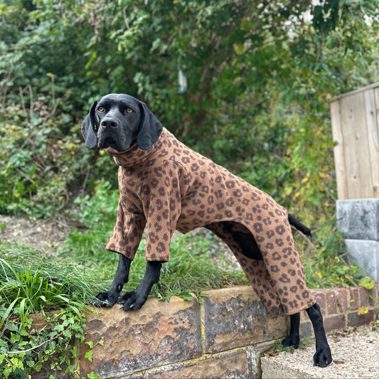 Leopard Print Fleece Dog Onesie