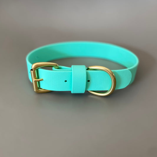 Mint BioThane® Collar