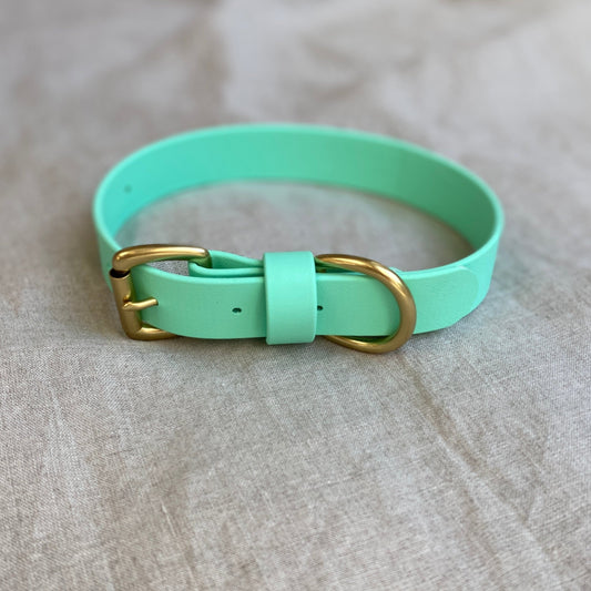 Mint BioThane® Collar