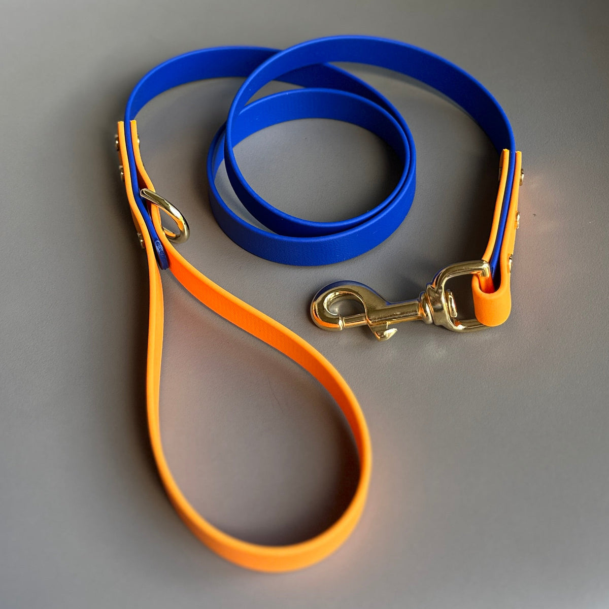 Koda Colourblock BioThane® Lead