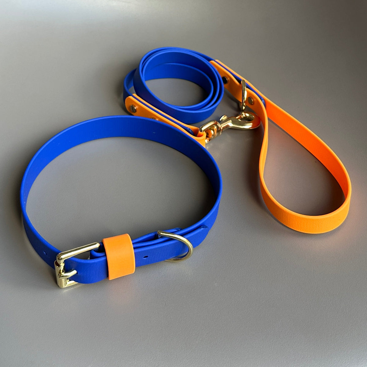 Koda Colourblock BioThane® Lead