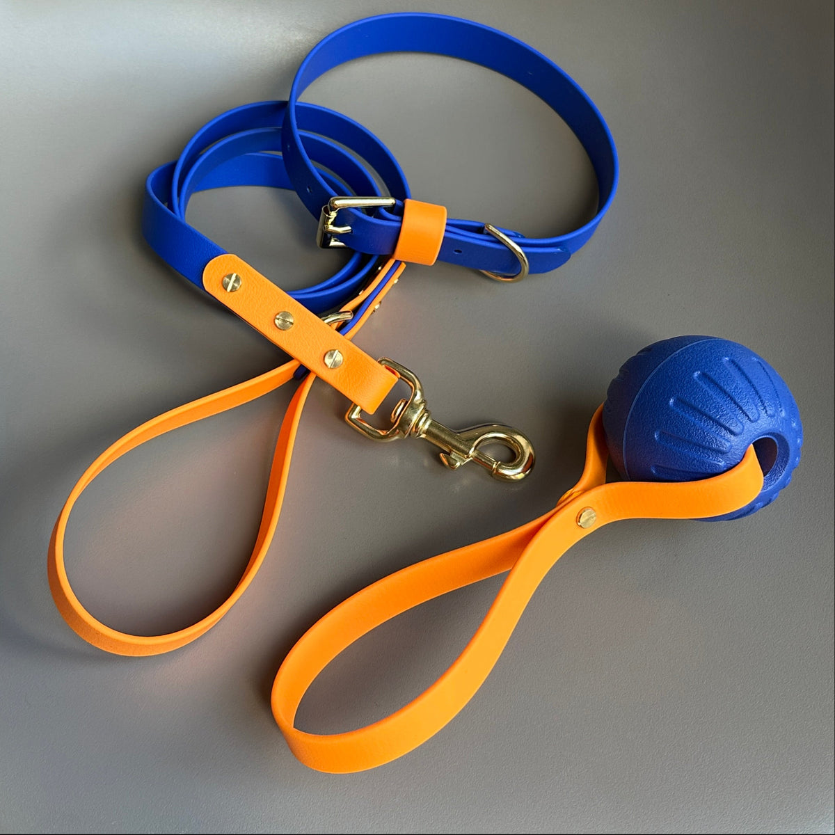 Koda Colourblock BioThane® Collar