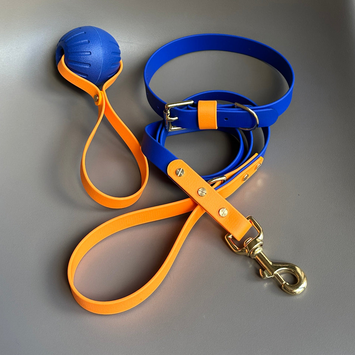 Koda Colourblock BioThane® Lead