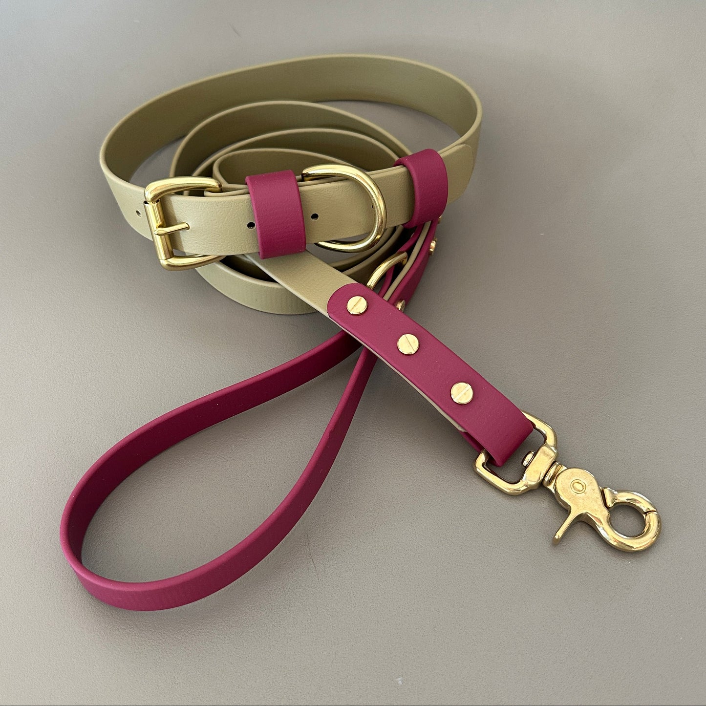 Mavis Crossbody Multiway BioThane® Lead