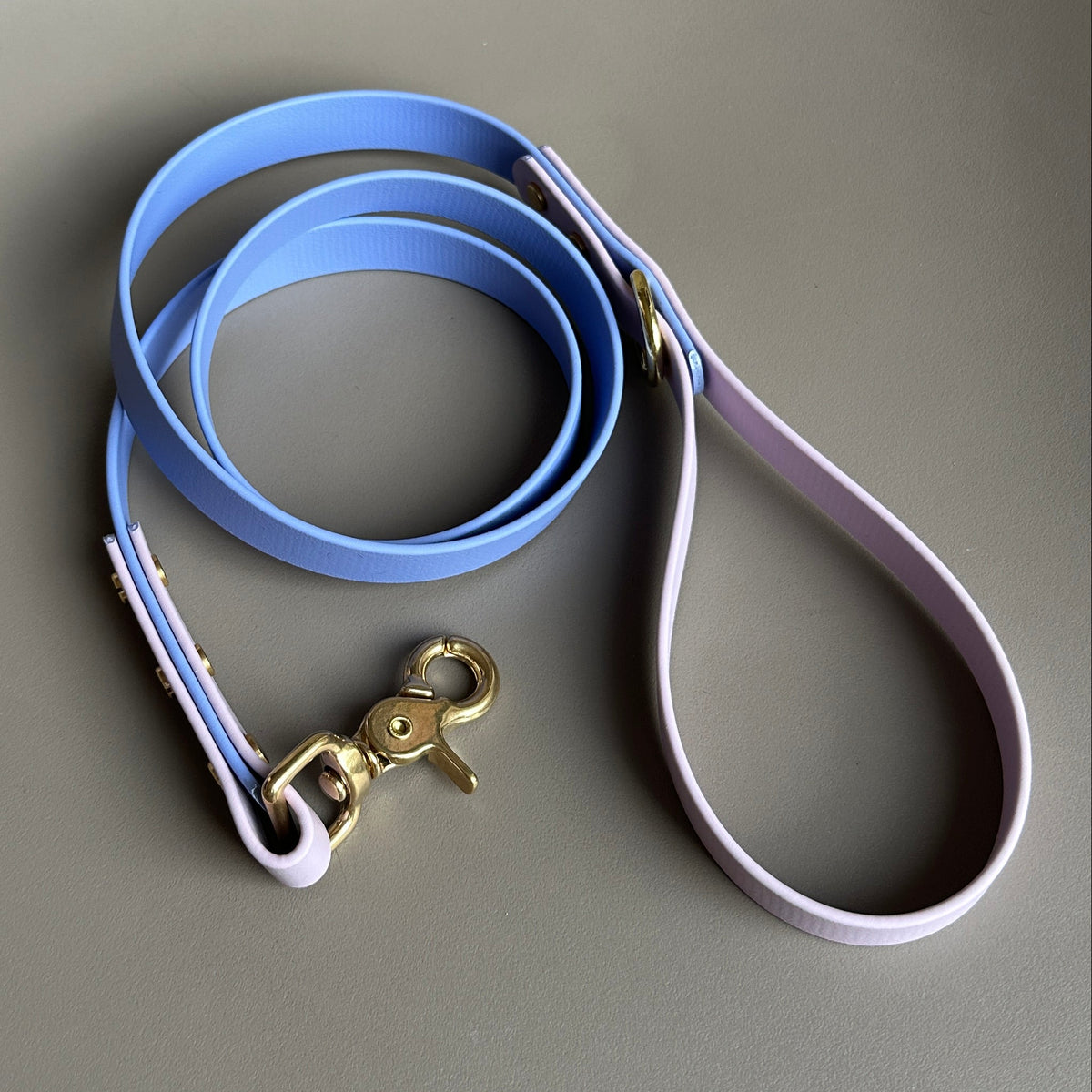 Shelby Colourblock BioThane® Lead