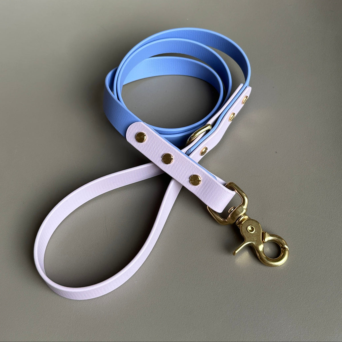 Shelby Colourblock BioThane® Lead