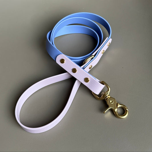 Shelby Colourblock BioThane® Lead