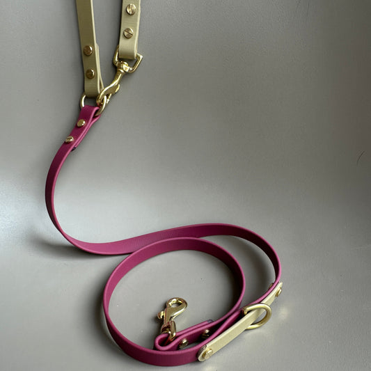 Mavis Crossbody Multiway BioThane® Lead