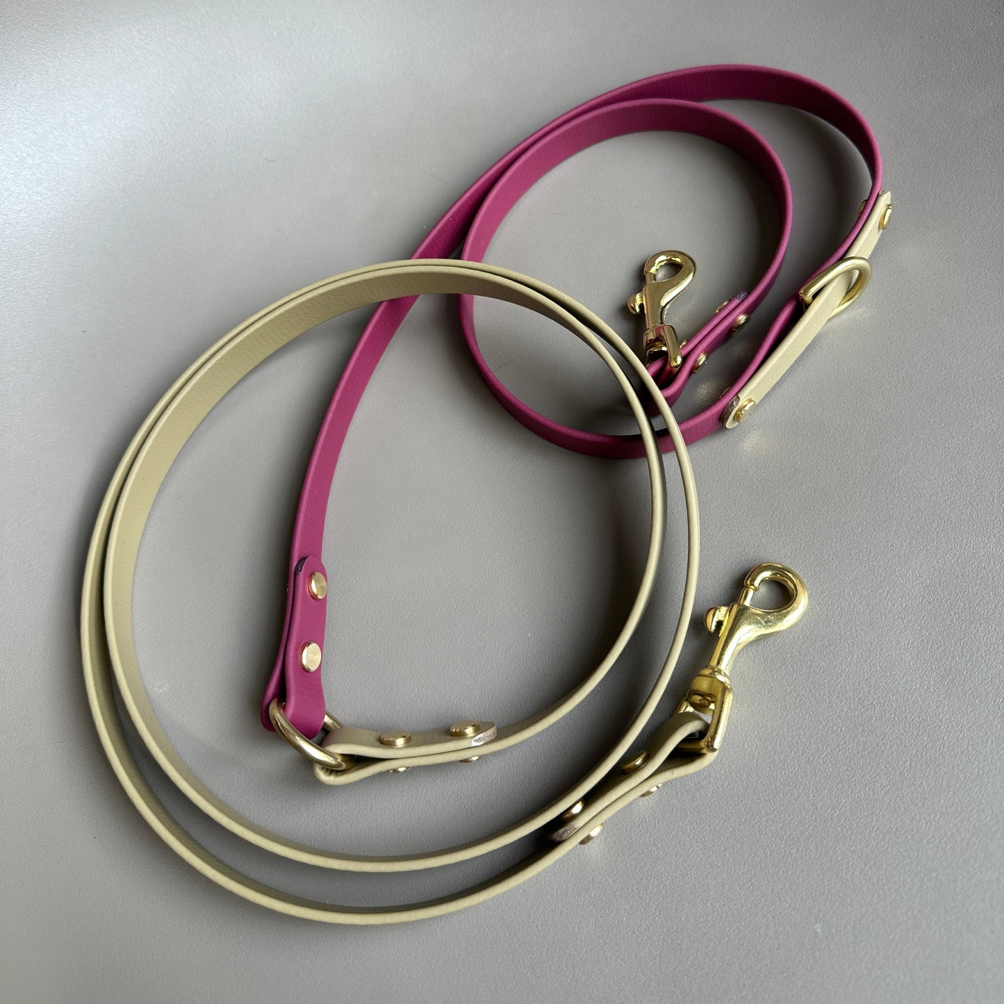 Mavis Crossbody Multiway BioThane® Lead