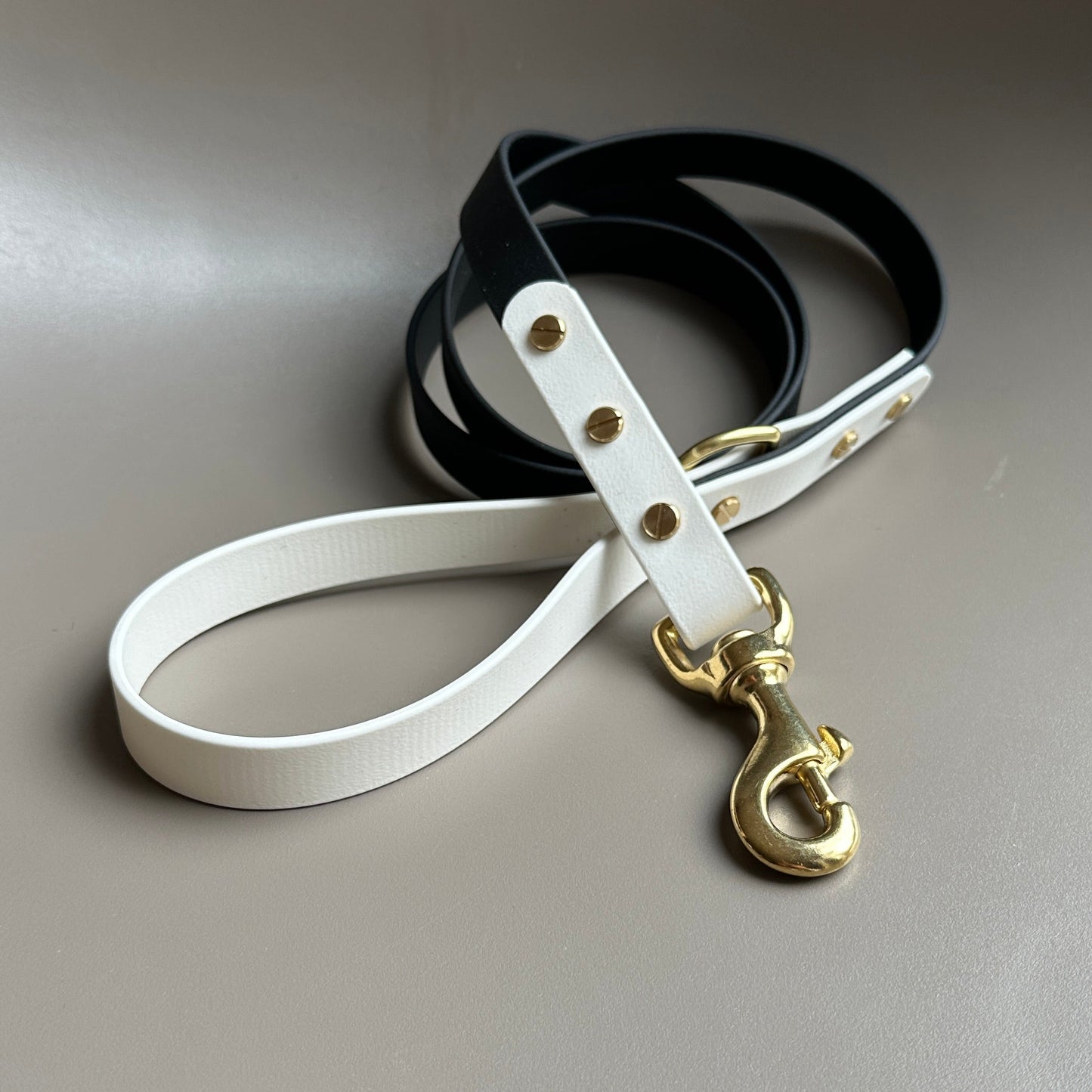 Darcy Colourblock BioThane® Lead