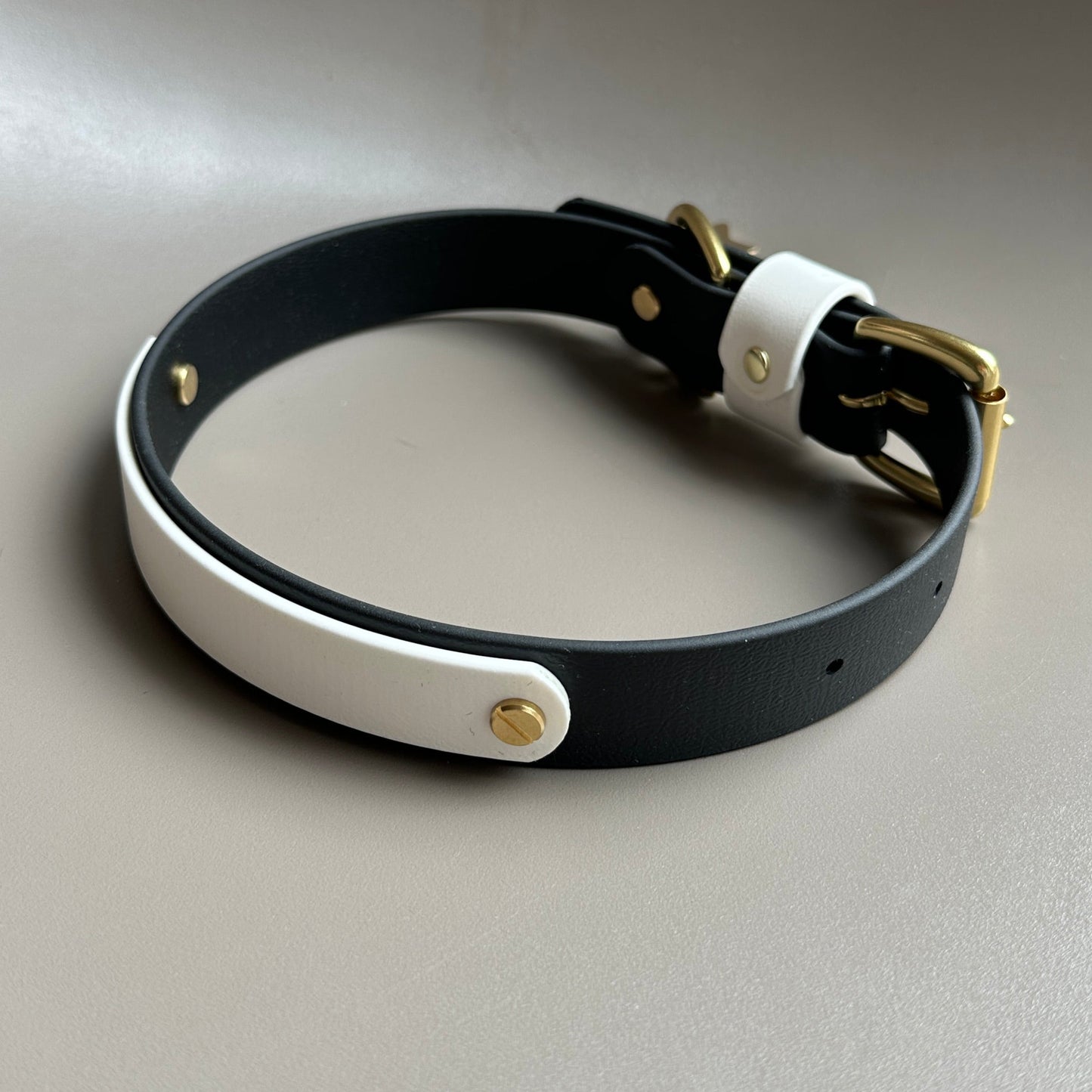 Darcy Colourband BioThane® Collar