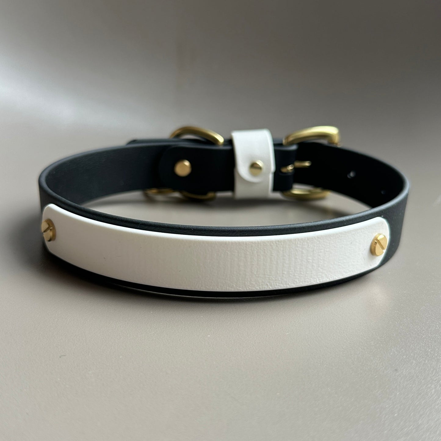 Darcy Colourband BioThane® Collar