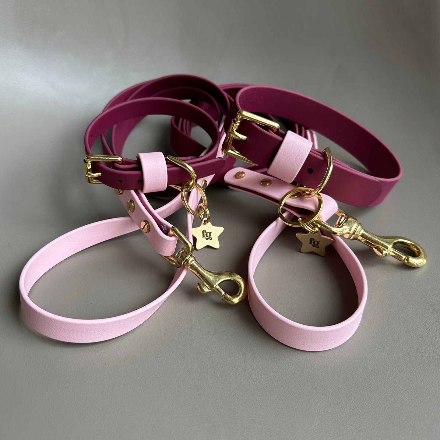 Claudie Mulberry Colourblock BioThane® Lead