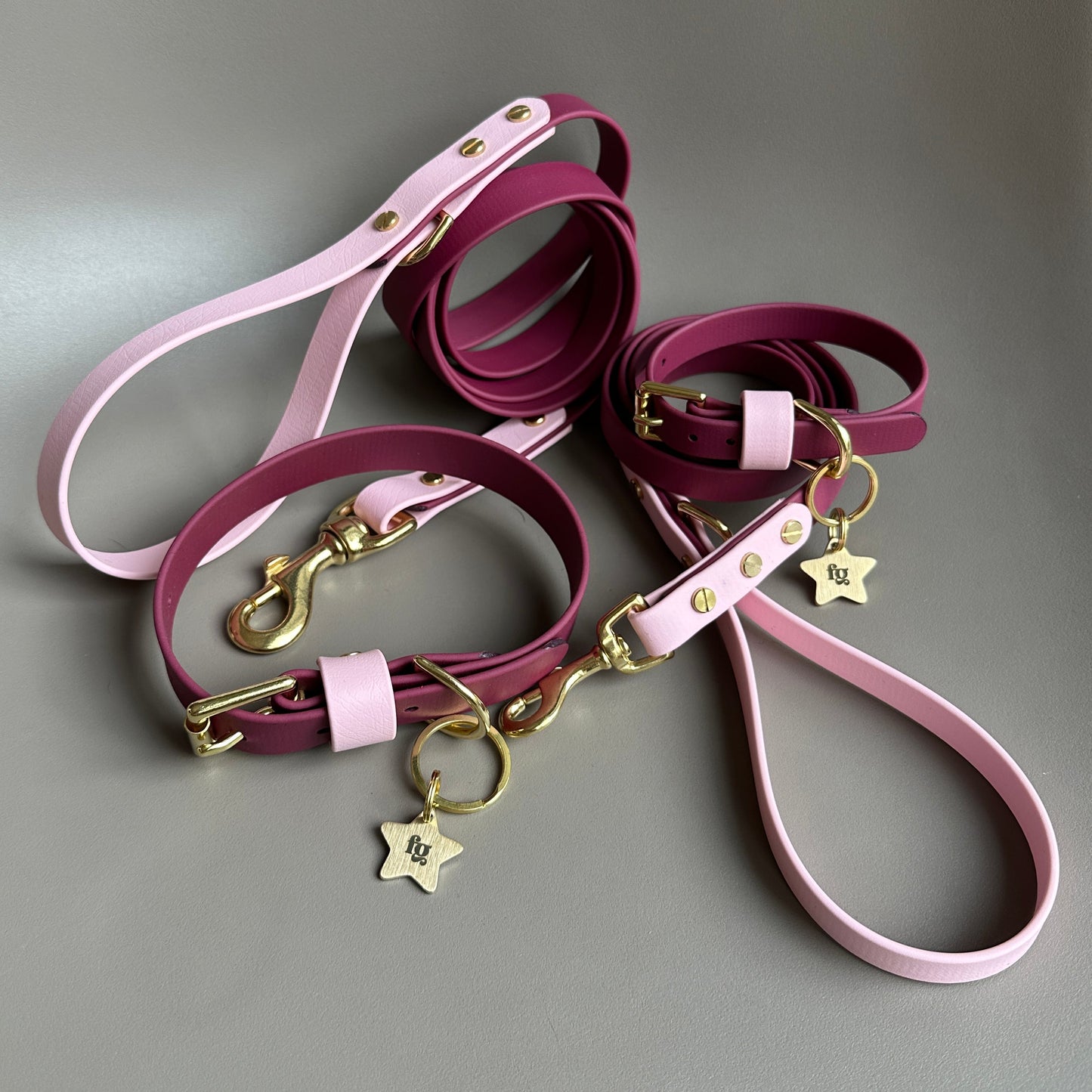 Claudie Mulberry Colourblock BioThane® Lead