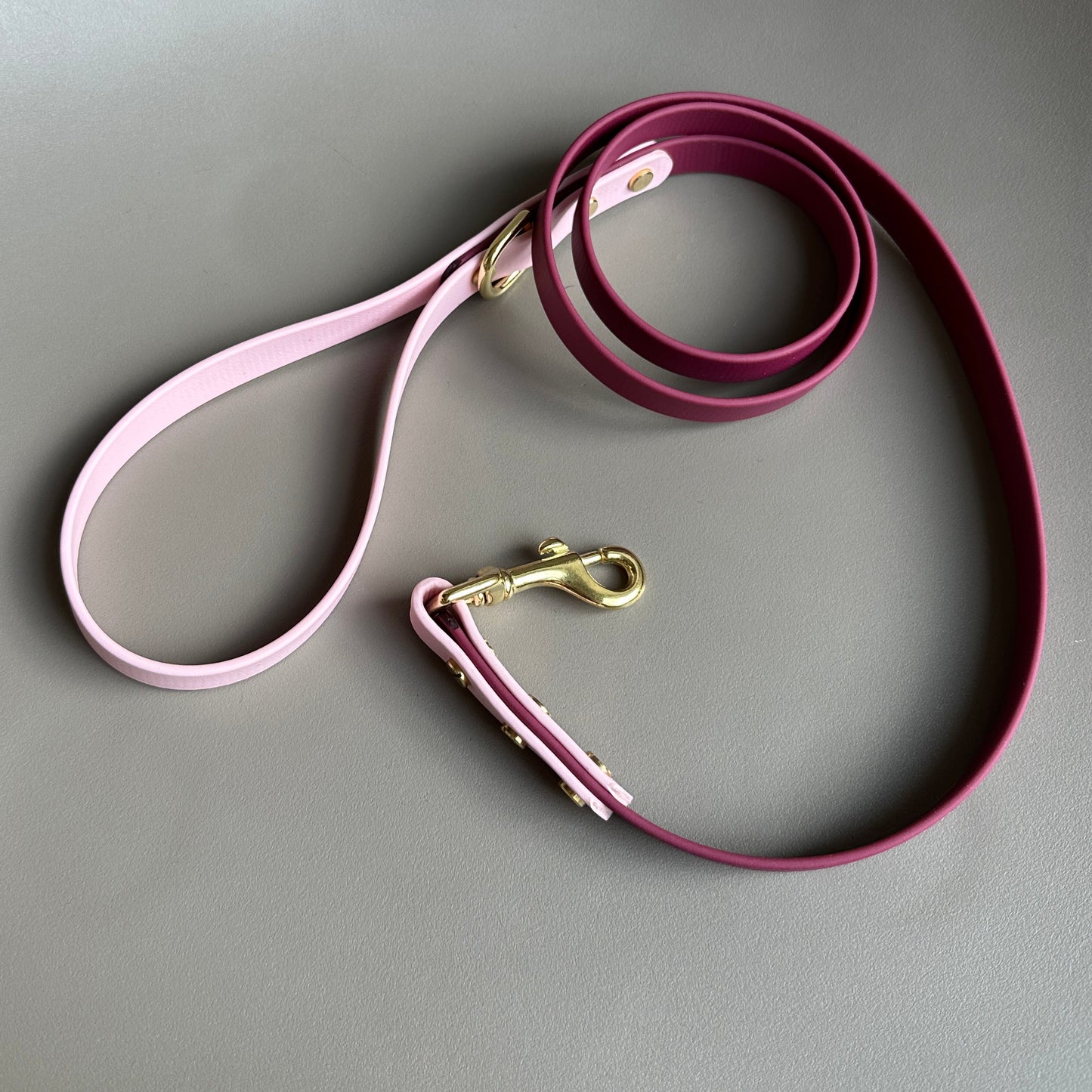 Claudie Mulberry Colourblock BioThane® Lead