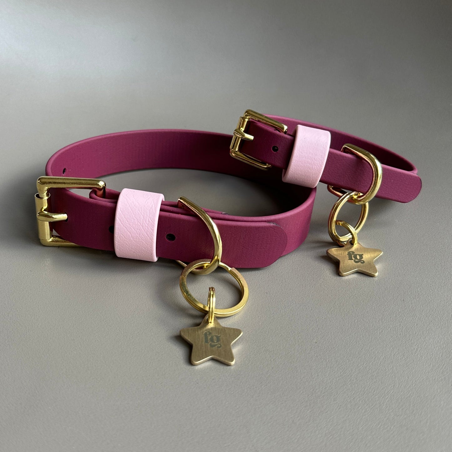 Claudie Mulberry Colourblock BioThane® Collar