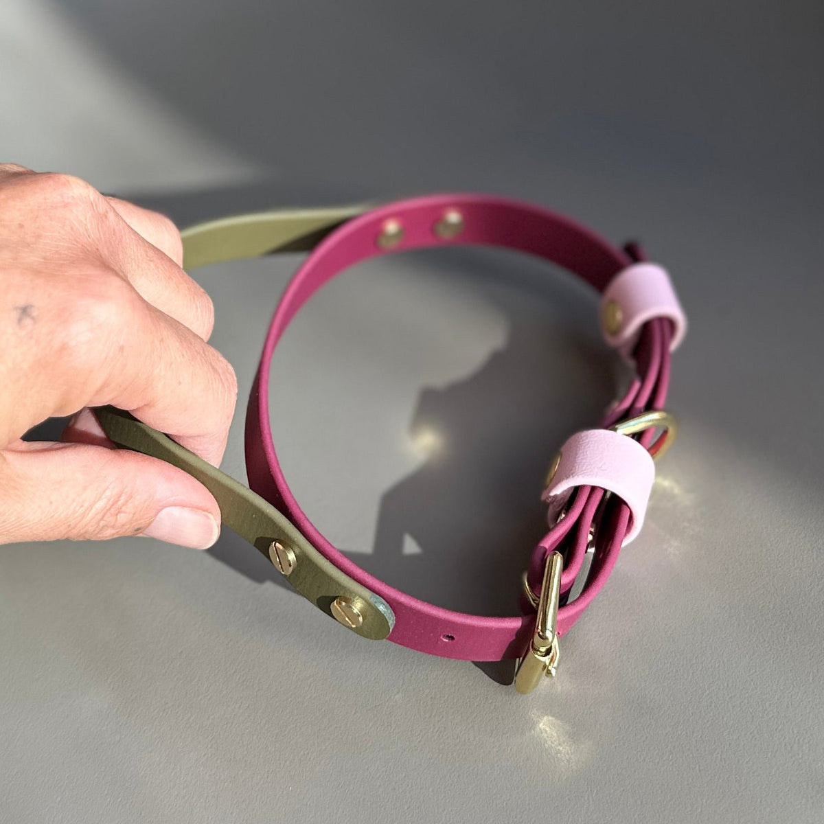 Pinot BioThane® Grab Handle Collar