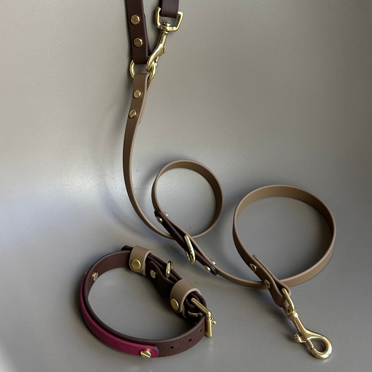 Teddybear Colourband BioThane® Collar