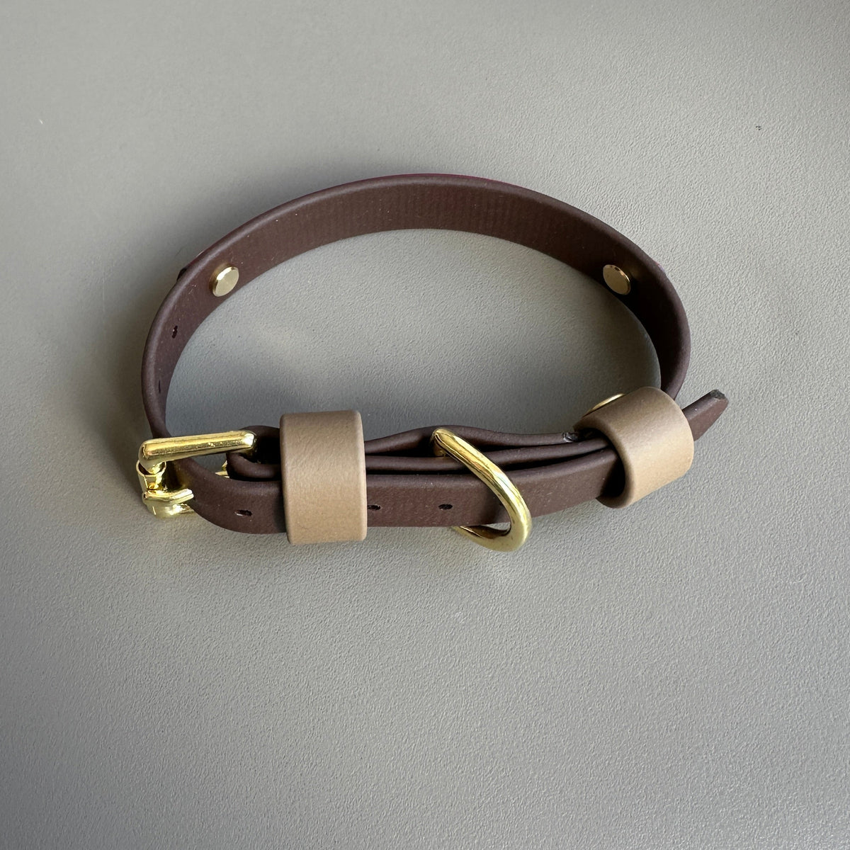 Teddybear Colourband BioThane® Collar