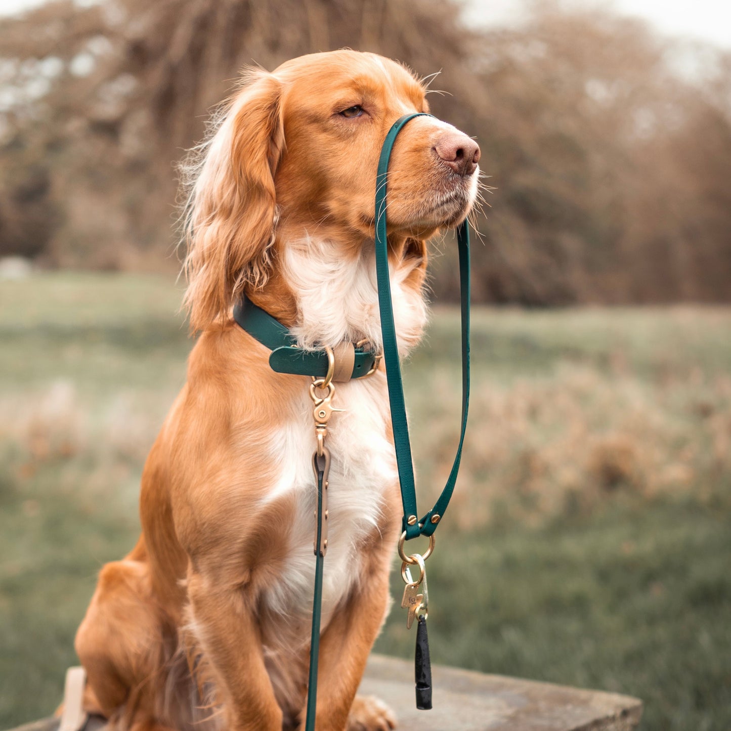 BioThane® Key / Whistle Lanyard