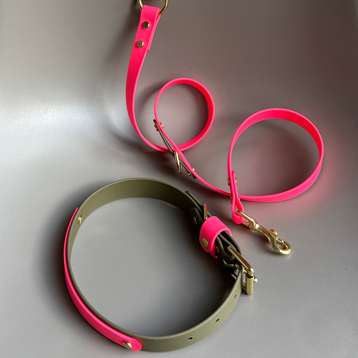 Wynnie Crossbody Multiway BioThane® Lead