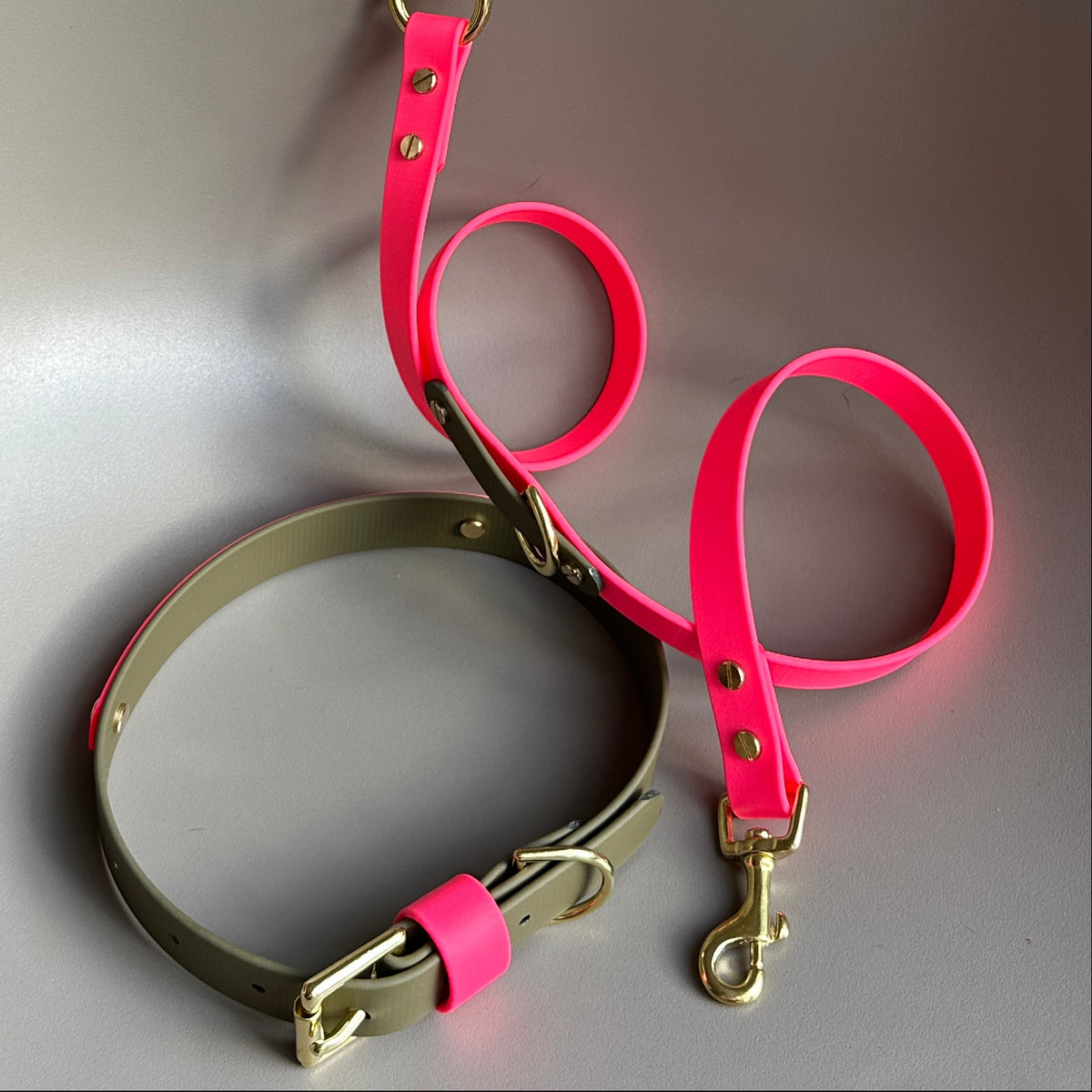 Wynnie Crossbody Multiway BioThane® Lead