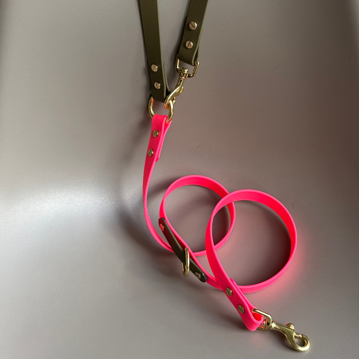 Wynnie Crossbody Multiway BioThane® Lead