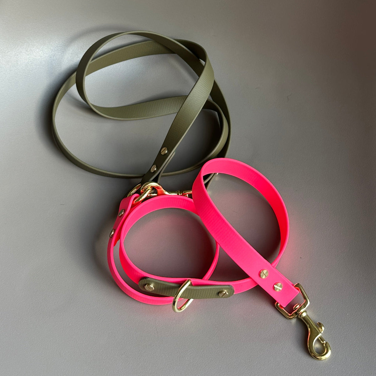 Wynnie Crossbody Multiway BioThane® Lead
