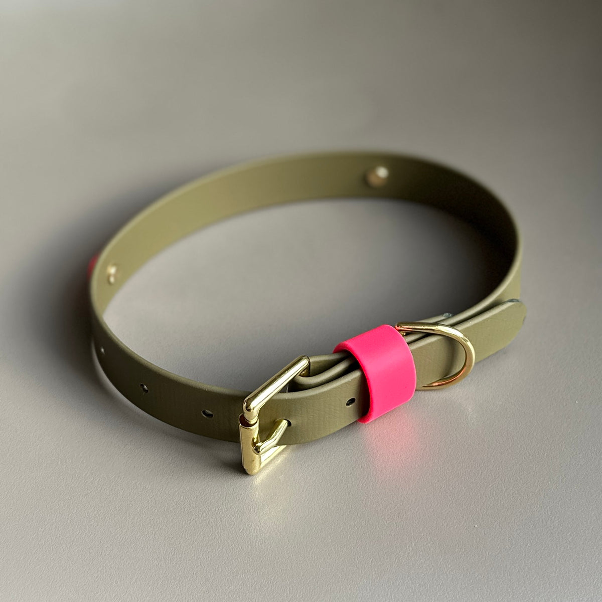 Wynnie Colourband BioThane® Collar