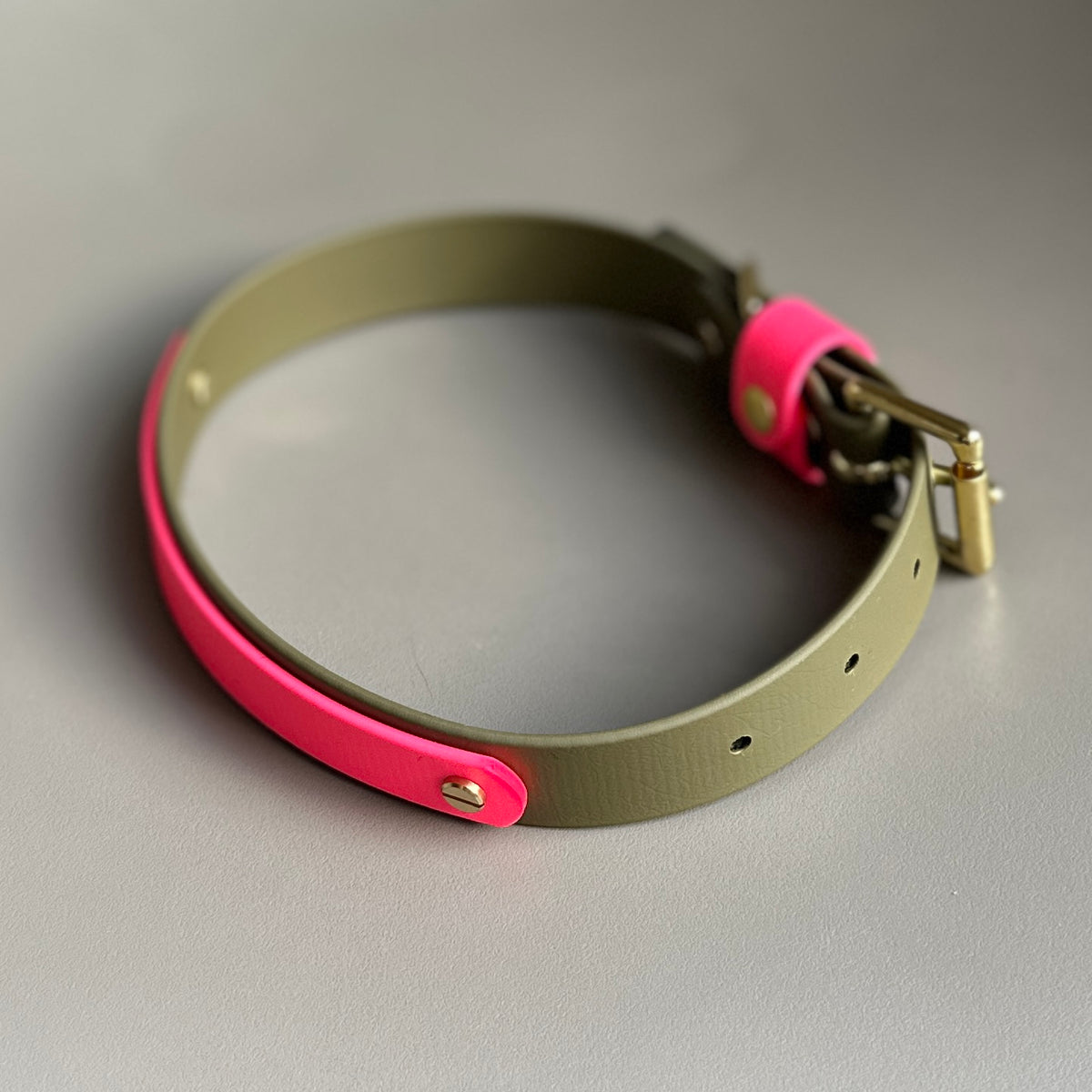 Wynnie Colourband BioThane® Collar