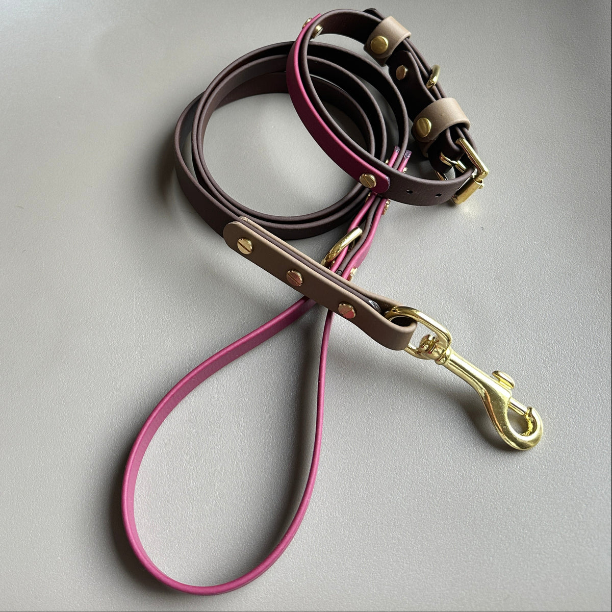 Teddybear Colourblock BioThane® Lead