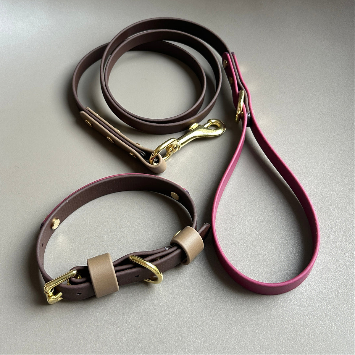 Teddybear Colourblock BioThane® Lead