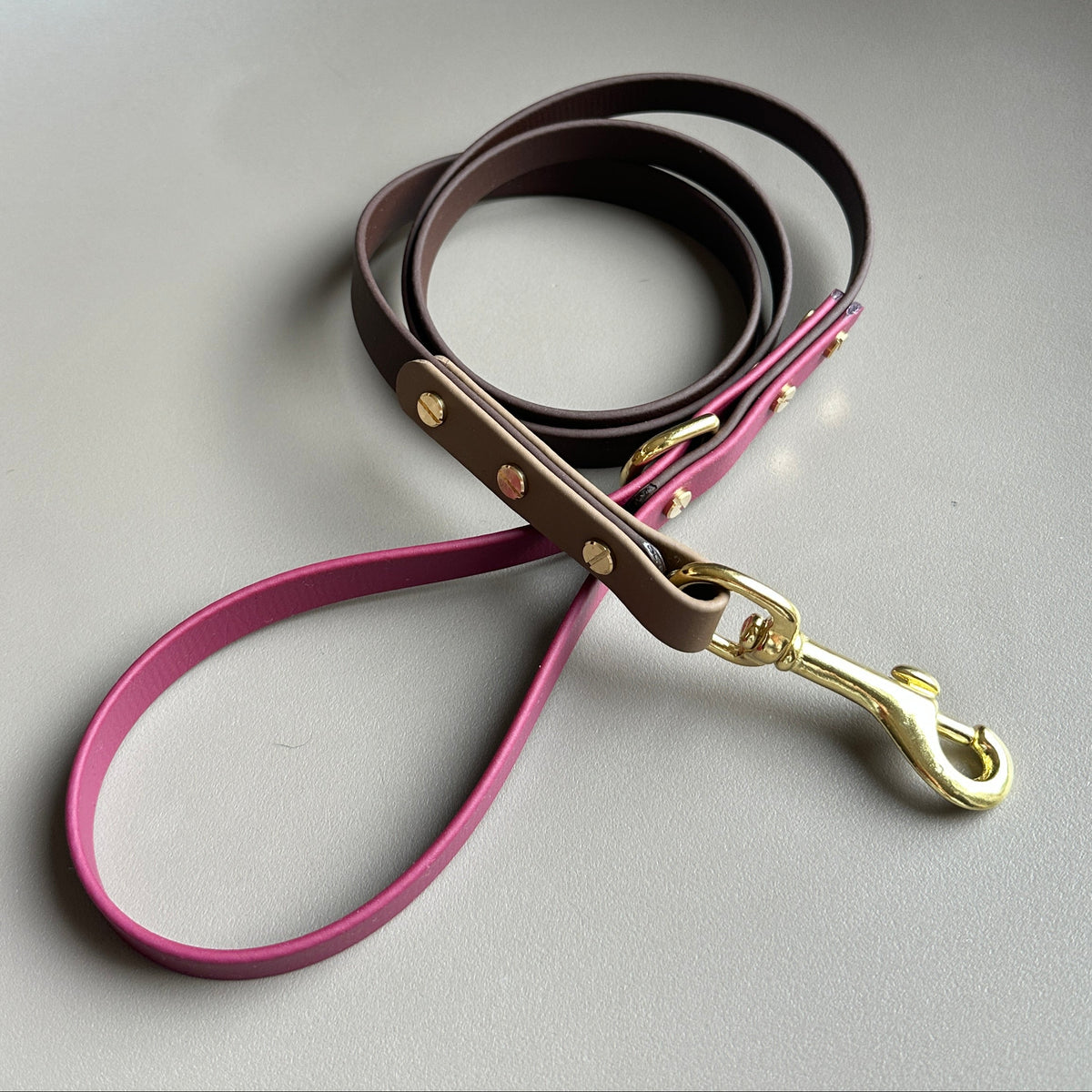Teddybear Colourblock BioThane® Lead