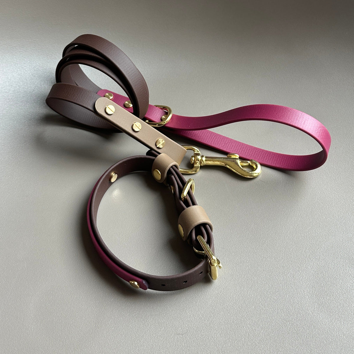 Teddybear Colourblock BioThane® Lead