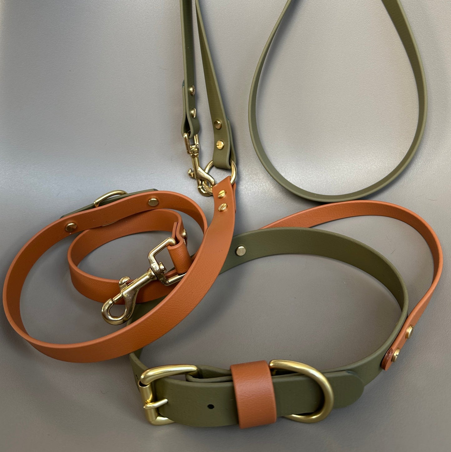 Dexter Crossbody Multiway BioThane® Lead
