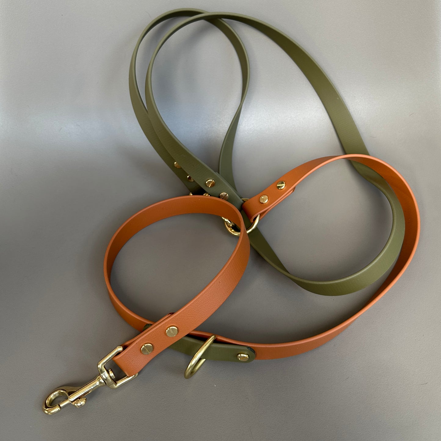 Dexter Crossbody Multiway BioThane® Lead