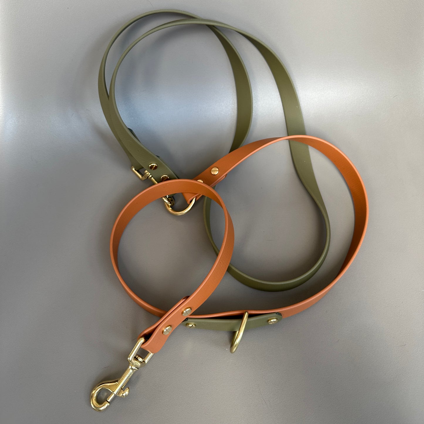 Dexter Crossbody Multiway BioThane® Lead