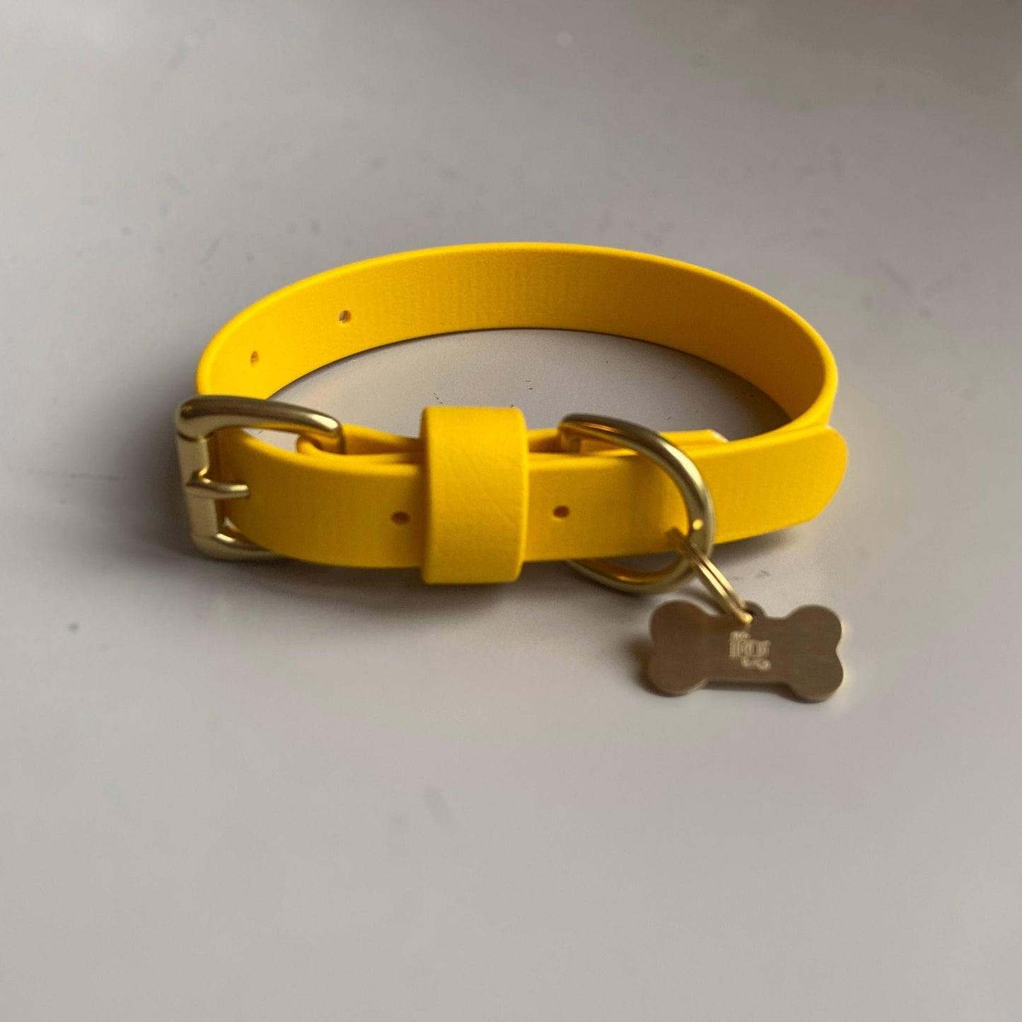 Sunflower BioThane® Collar