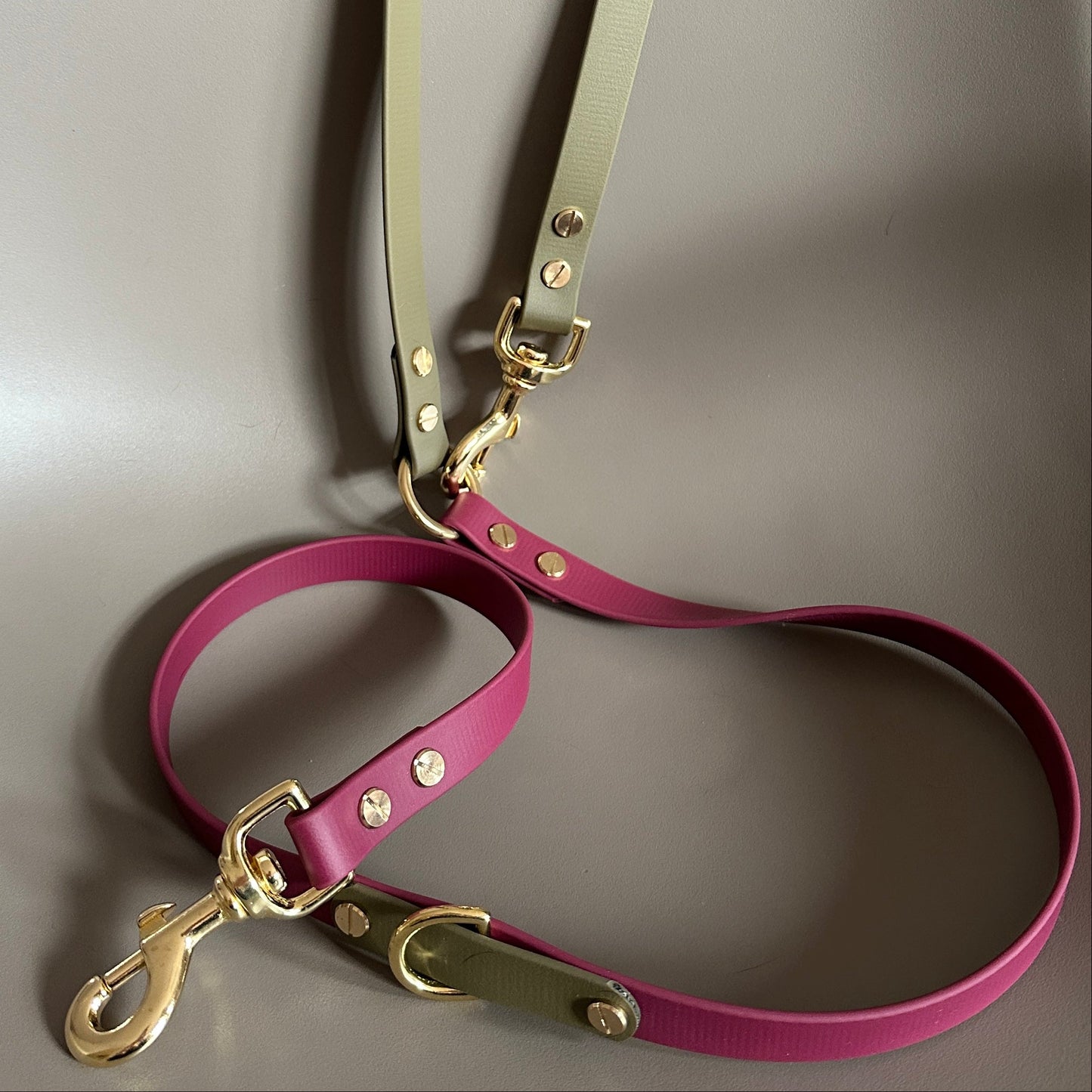 Dottie Crossbody Multiway BioThane® Lead