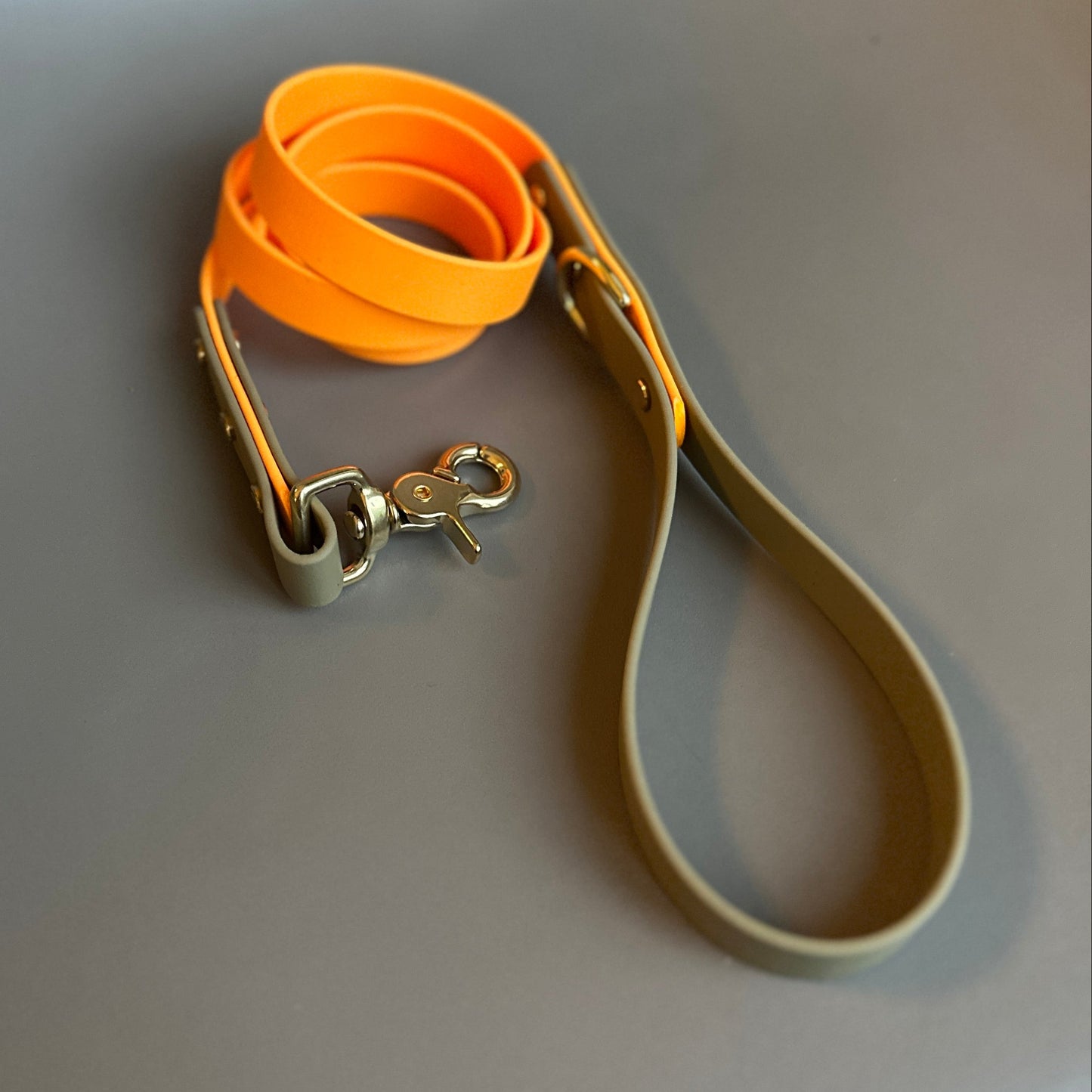 Freddie Colourblock BioThane® Lead