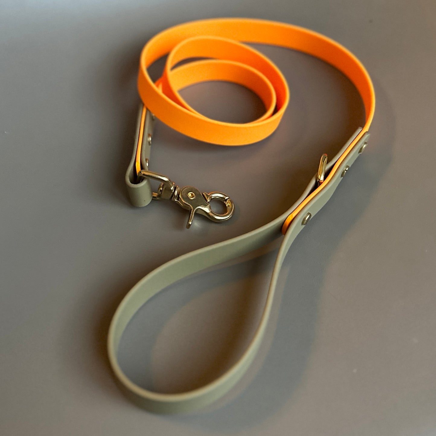 Freddie Colourblock BioThane® Lead