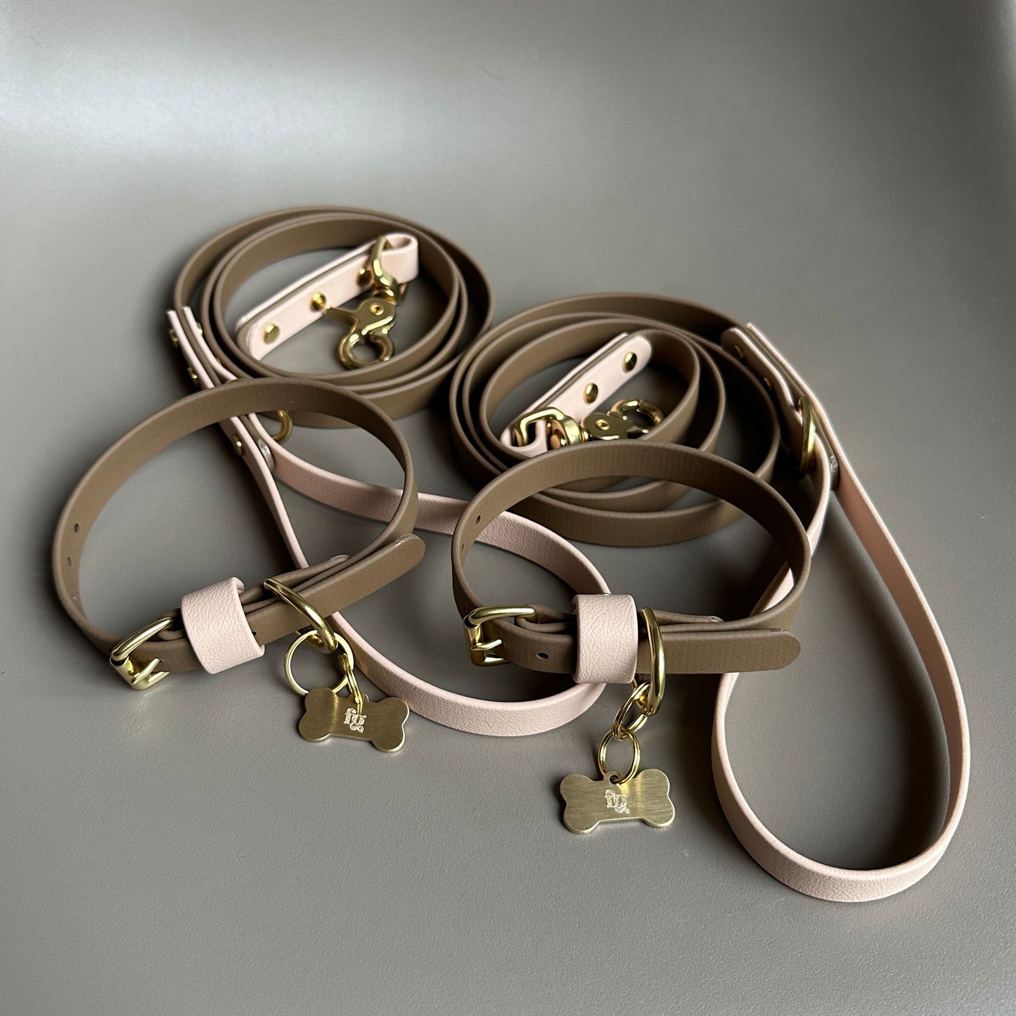 Louie & Lance Colourblock BioThane® Lead