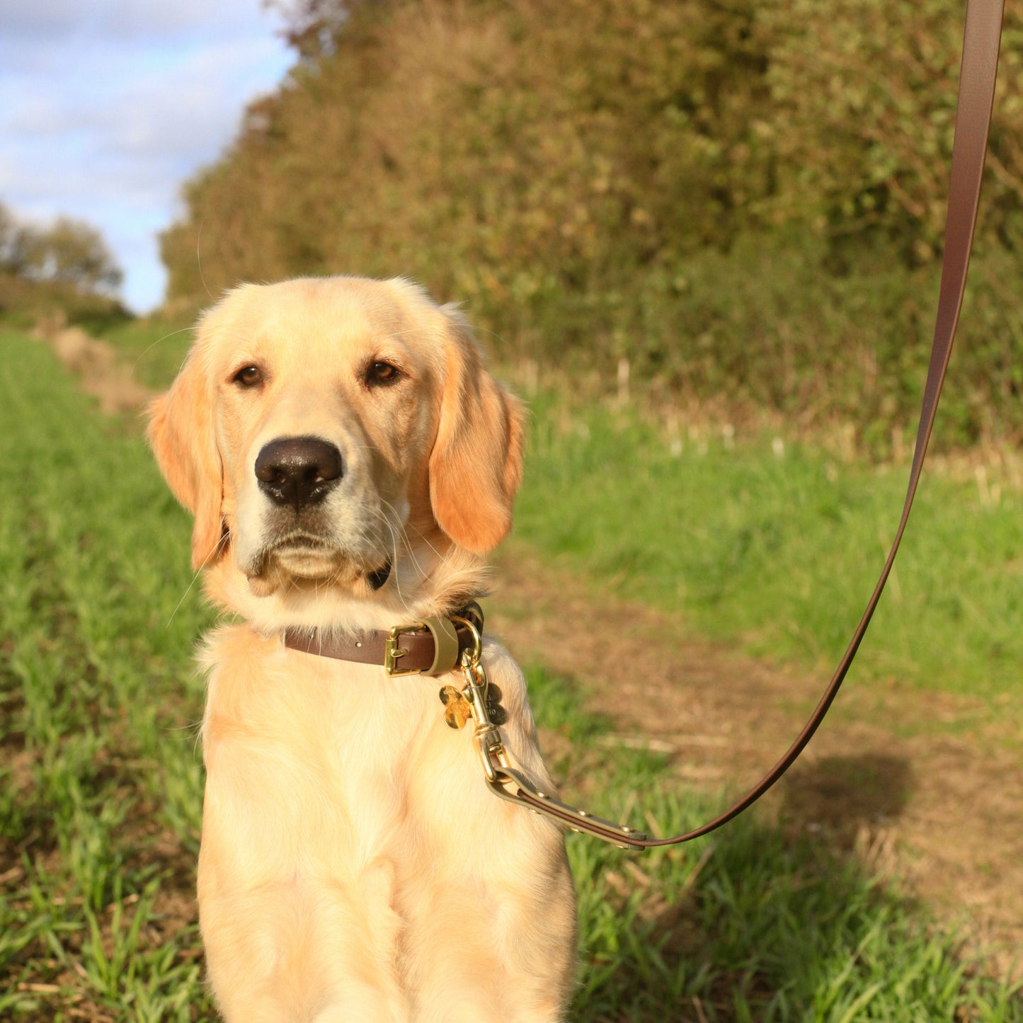 Milo Colourblock BioThane® Collar