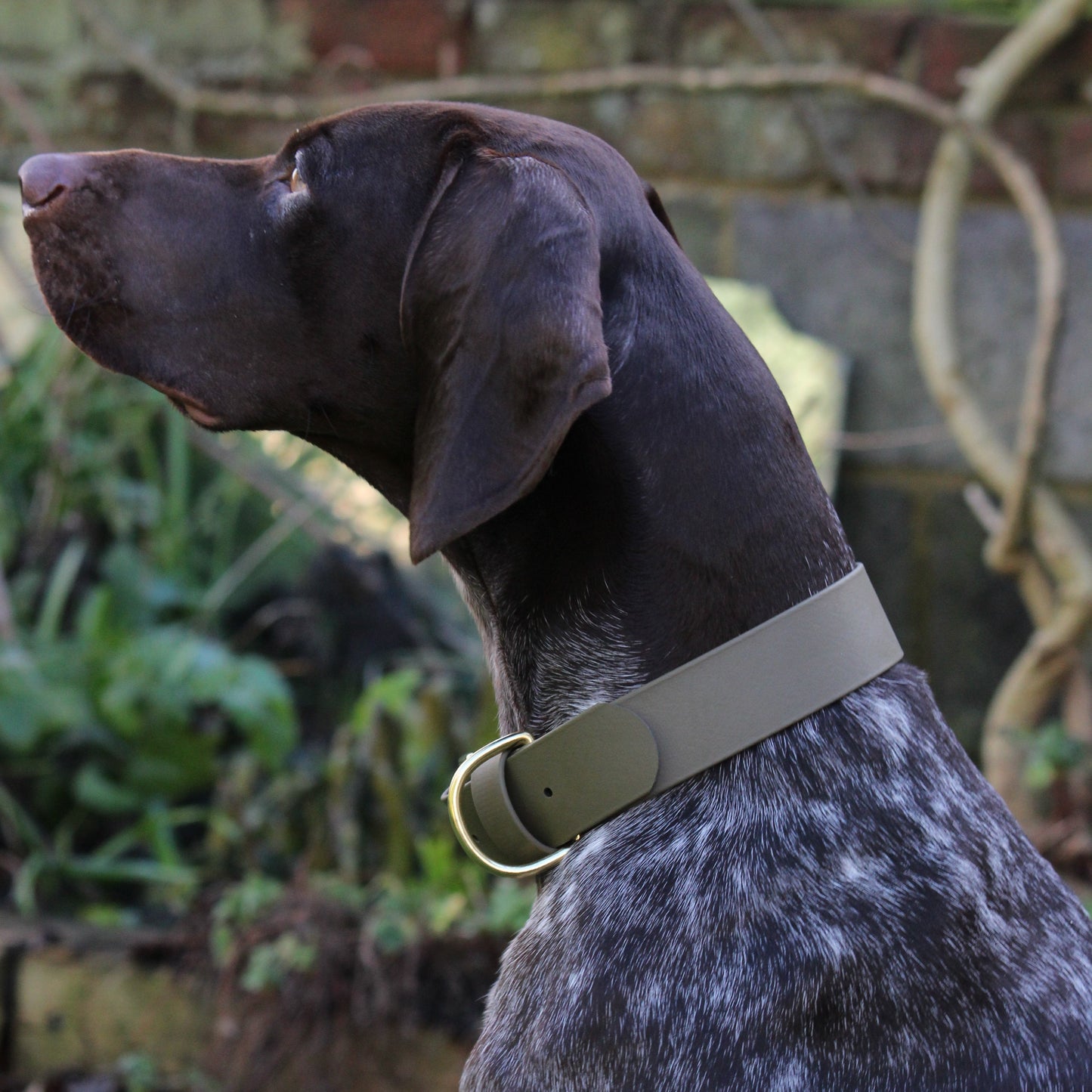Wide 38mm BioThane® Collar