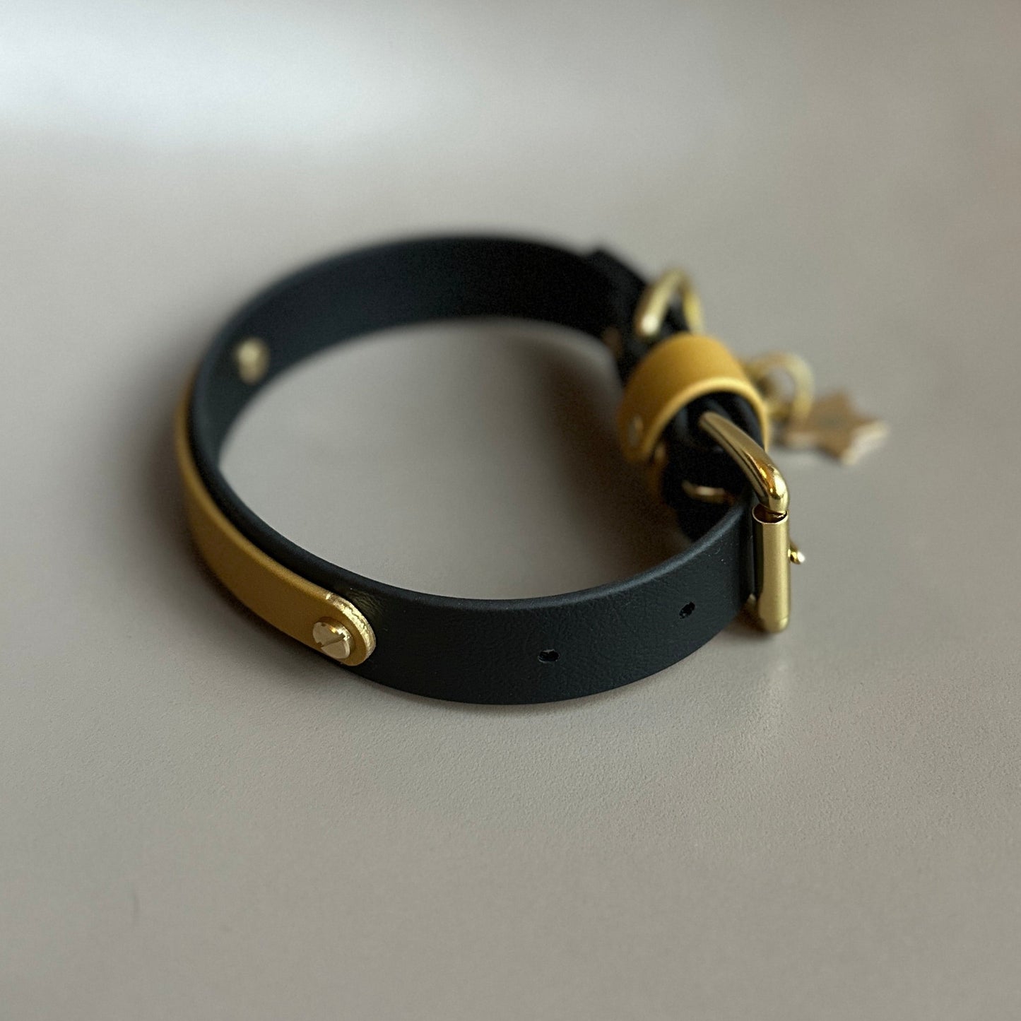 Sophie Darling  X  Franks Goods BioThane® Collar