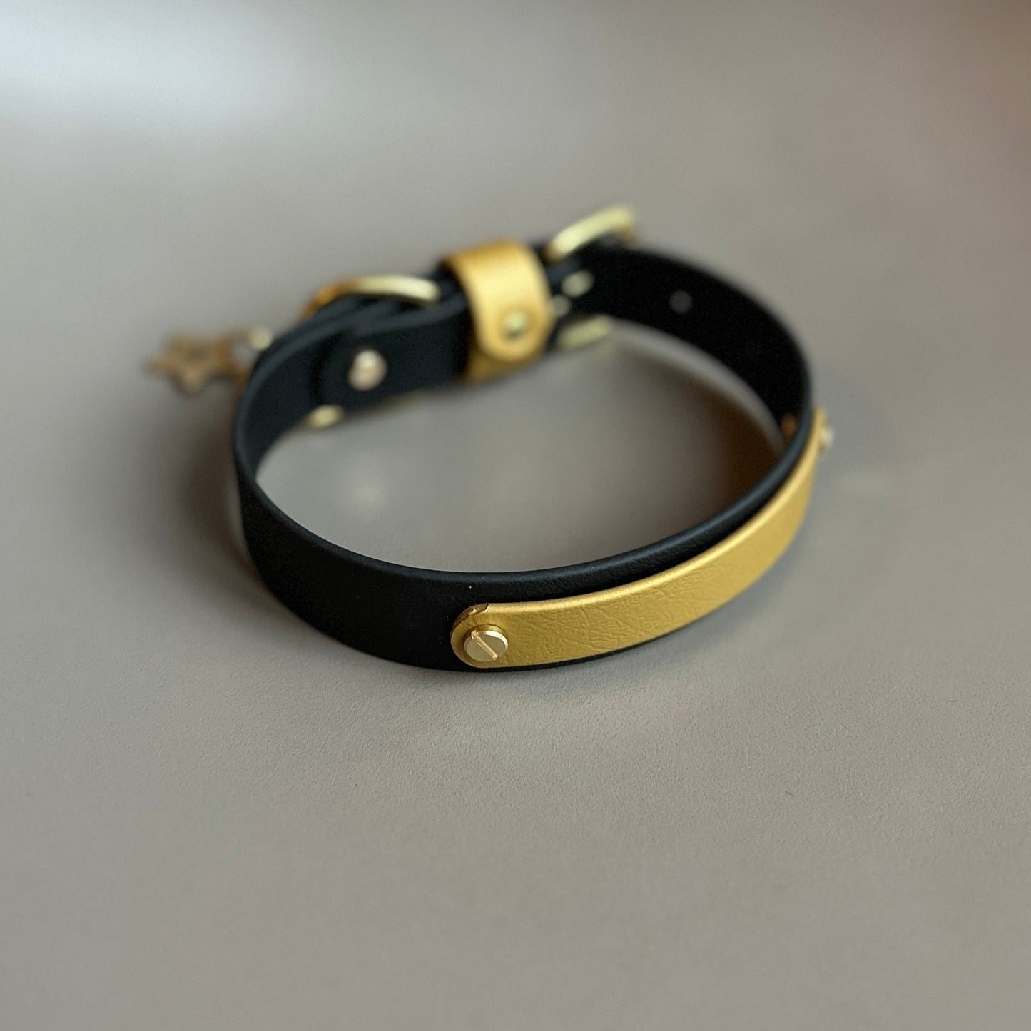 Sophie Darling  X  Franks Goods BioThane® Collar