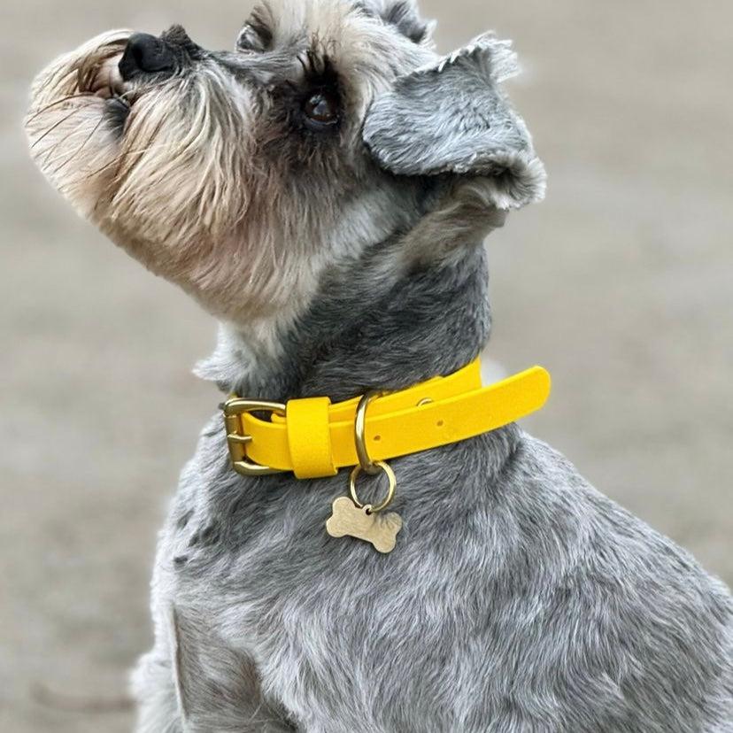 Sunflower BioThane® Collar